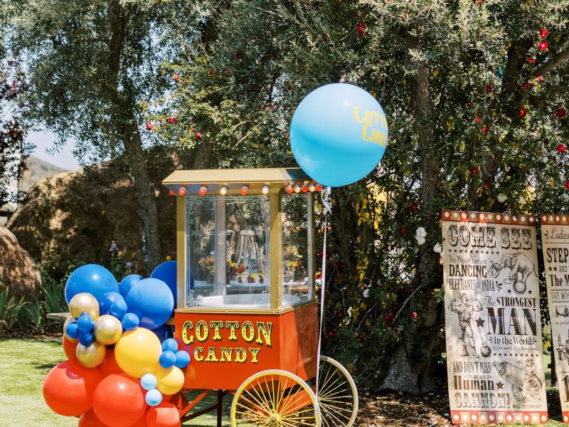 Cotton candy stand rental