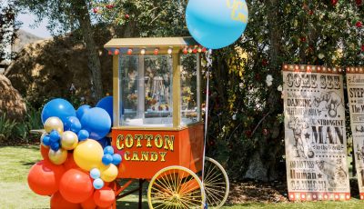 Cotton candy stand rental